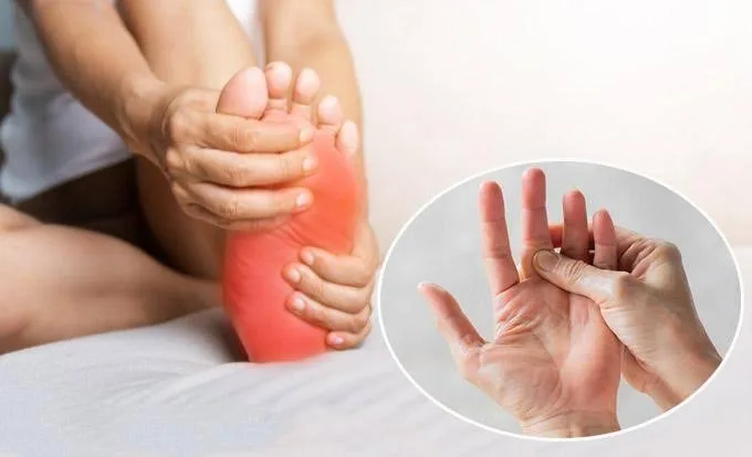 Các dưỡng chất như B1, B6, vitamin E và đồng góp phần hỗ trợ hoạt động thần kinh và chuyển hóa của cơ thể.